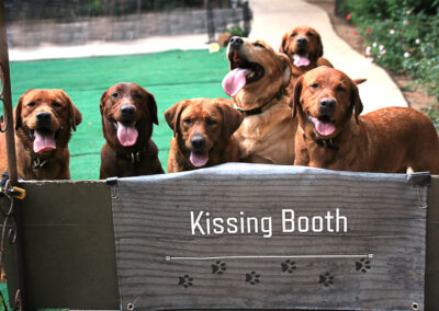 kissing booth