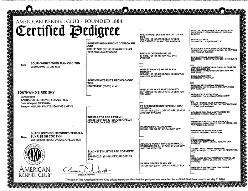 Southwind's Red Sky Pedigree