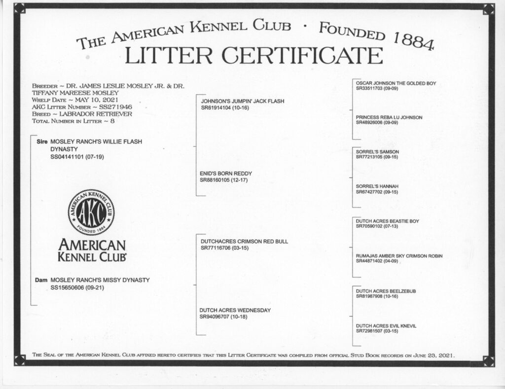 Southwind's Elite Redhead - Ellie pedigree