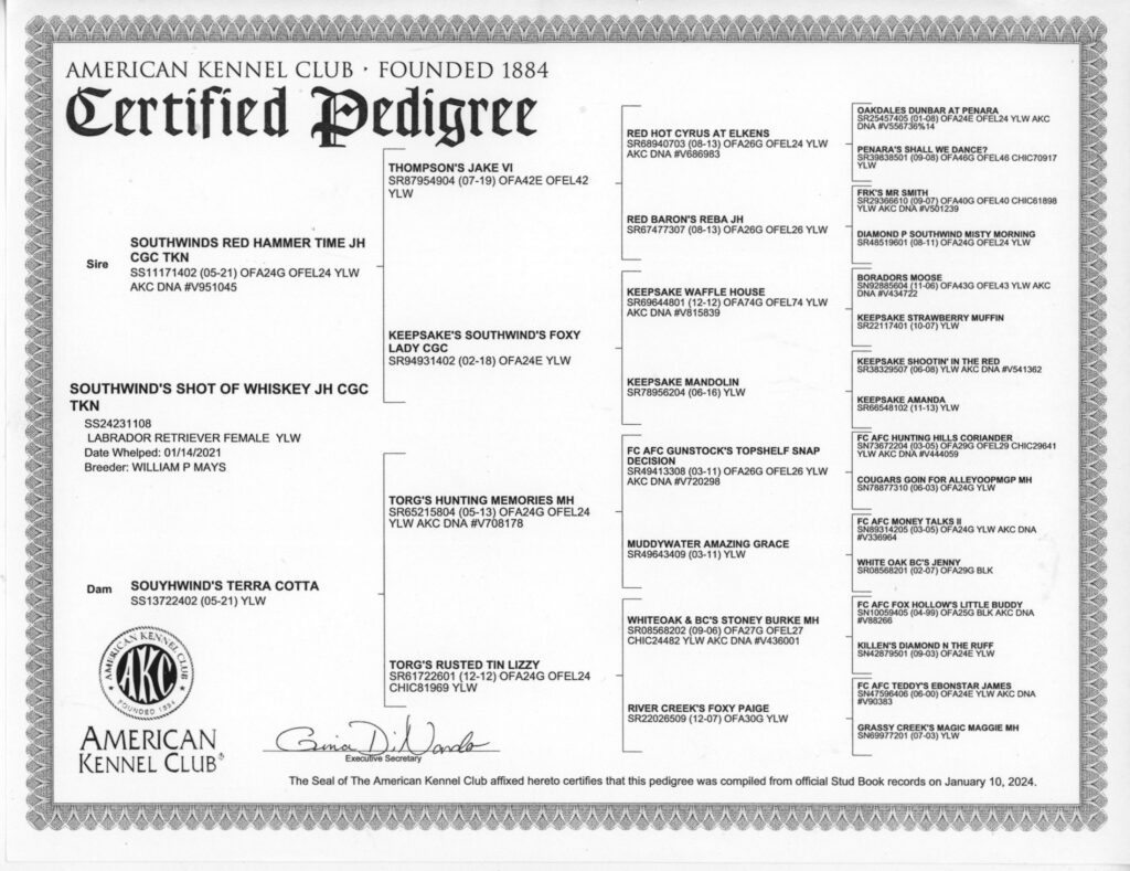 shot of whiskey pedigree