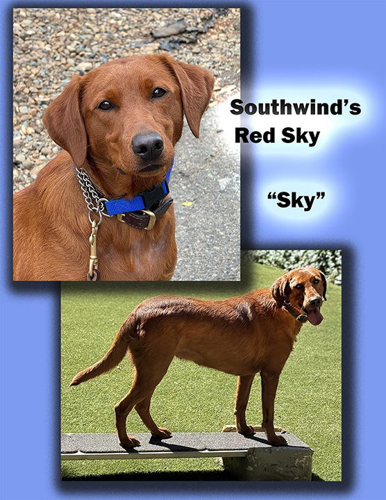 Southwind's Red Sky coversheet