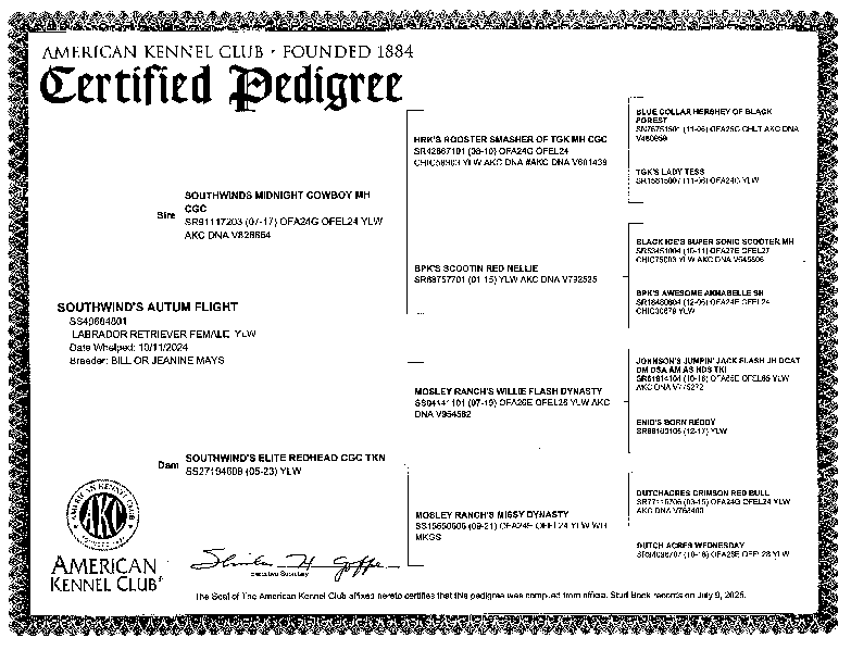 Autumn Pedigree