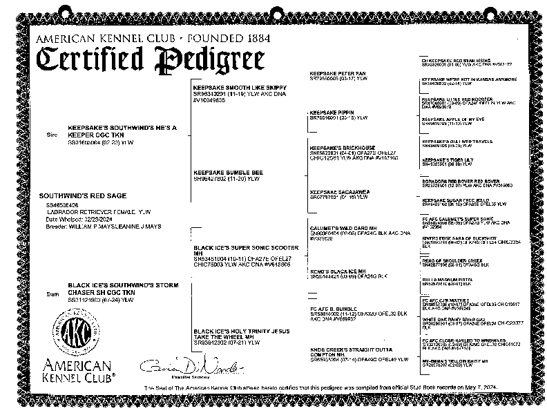 Echo Pedigree