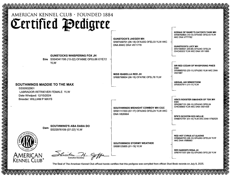 Maddie Pedigree