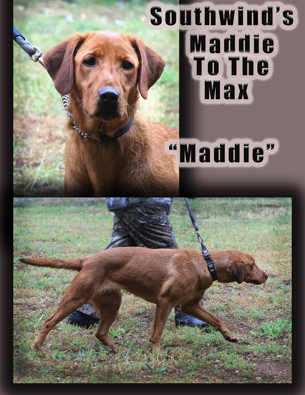 Maddie to the Max - "Maddie"